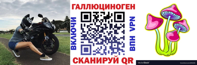 Галлюциногенные грибы GOLDEN TEACHER где купить Кудымкар