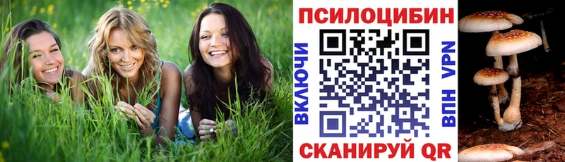 Псилоцибиновые грибы MAGIC MUSHROOMS Кудымкар